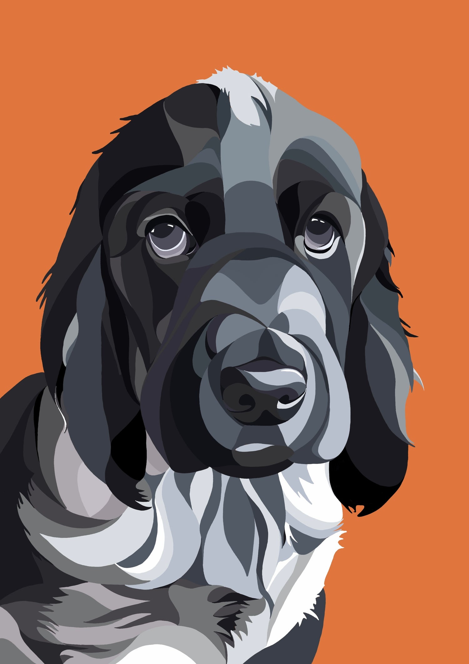 SPANIEL