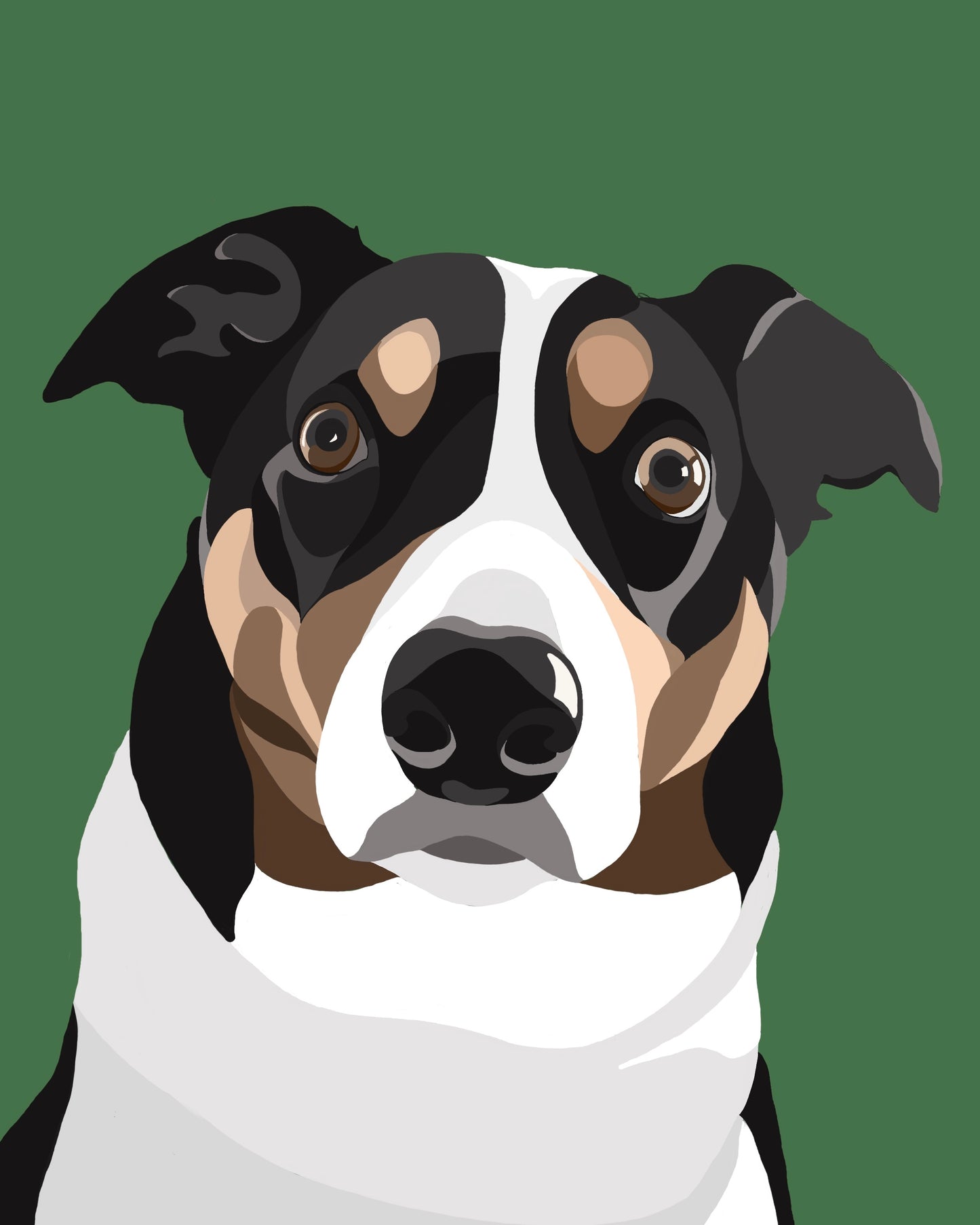 BORDER COLLIE Art Print