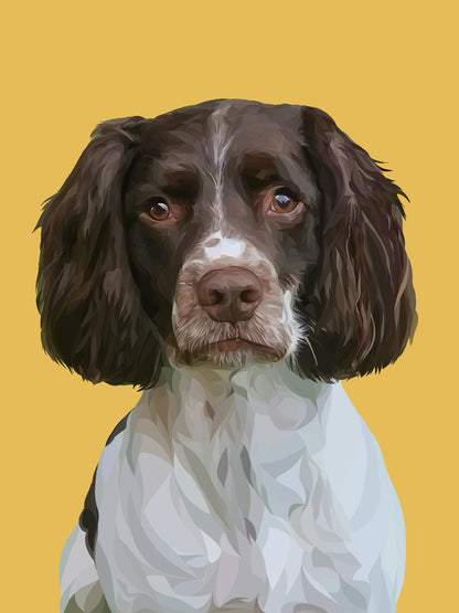 SPRINGER SPANIEL Greeting Card