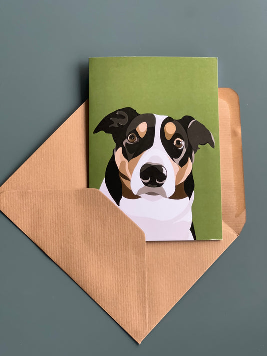 BORDER COLLIE Greeting Card