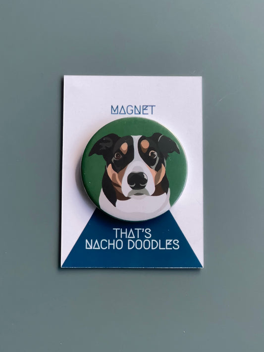 BORDER COLLIE Magnet