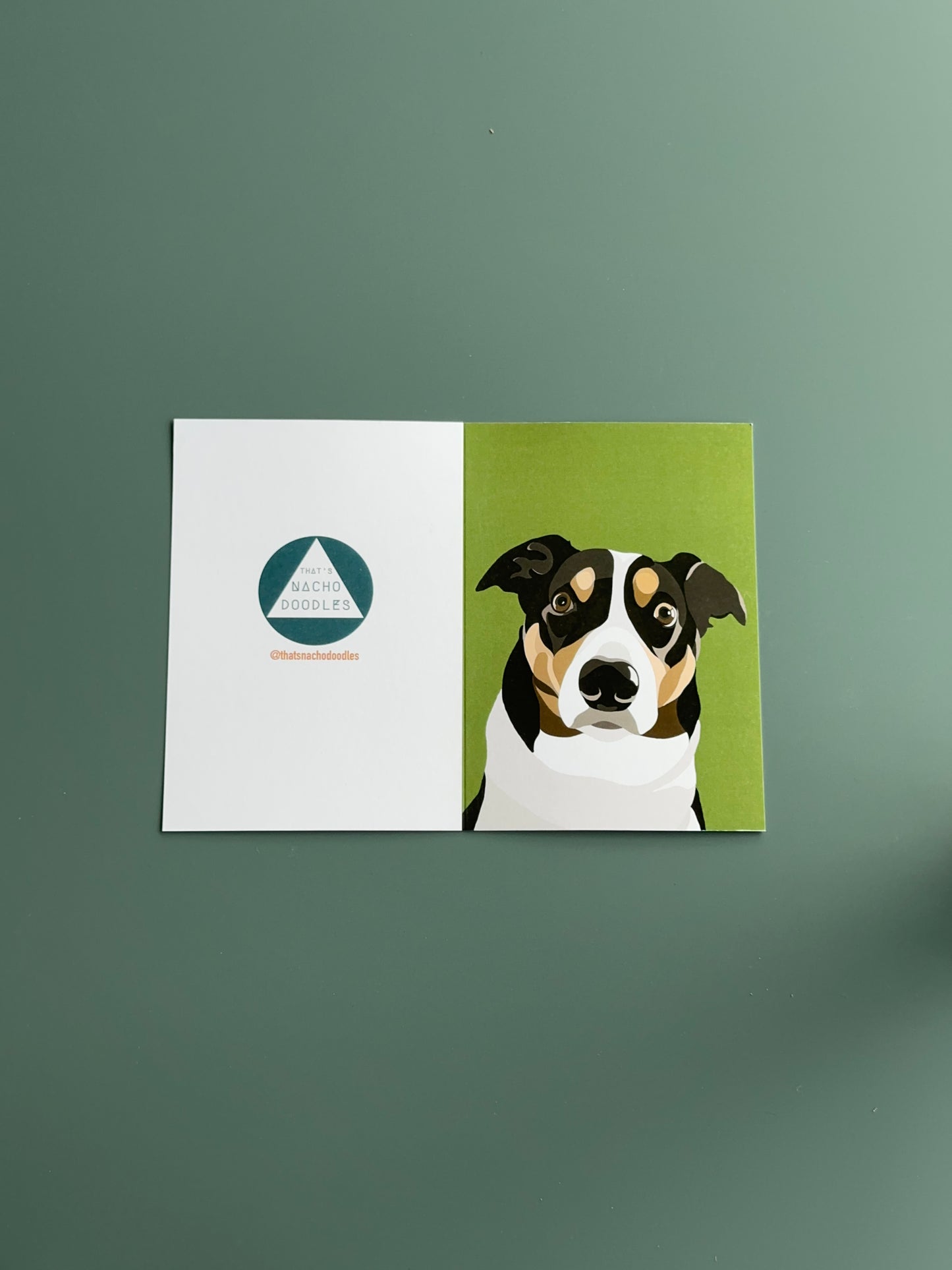 BORDER COLLIE Greeting Card